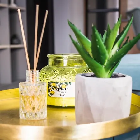 Apartment Dimitra's Nea Michaniona