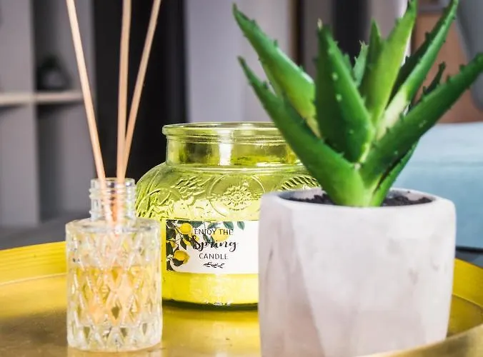 Appartement Dimitra's Nea Michaniona